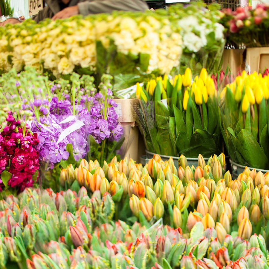 Columbia Road Flower Market
